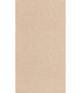 Papier Peint UNI MAT BISCUIT - Collection COLOR BOX 3 - CASELIO - Réf. CB3104011474