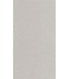 Papier Peint UNI MAT GRIS CLAIR - Collection COLOR BOX 3 - CASELIO - Réf. CB3104019156