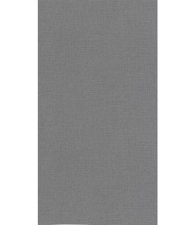 Papier Peint UNI MAT GRIS FONCE - Collection COLOR BOX 3 - CASELIO - Réf. CB3104019243