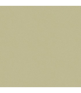 Papier Peint CHEVRON UNI METALLISE IRISE VERT AMANDE DORE - Collection COLOR BOX 3 - CASELIO - Réf. CB3102237022