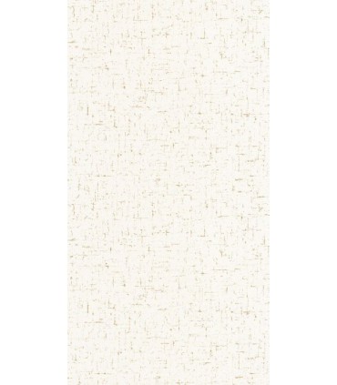 COLOR BOX 3 - CASELIO