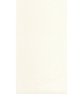 Papier Peint EDEN BEIGE IRISE - Collection COLOR BOX 3 - CASELIO - Réf. CB3103731015