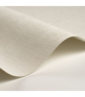 Papier Peint ETAMINE BLANC POLAIRE - CASADECO - Réf. ETAM200250010