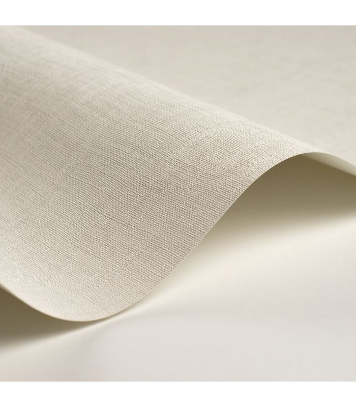 Papier Peint ETAMINE BLANC POLAIRE - CASADECO - Réf. ETAM200250010