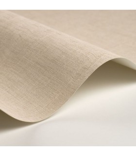 Papier Peint ETAMINE BEIGE PARCHEMIN - CASADECO - Réf. ETAM200251111