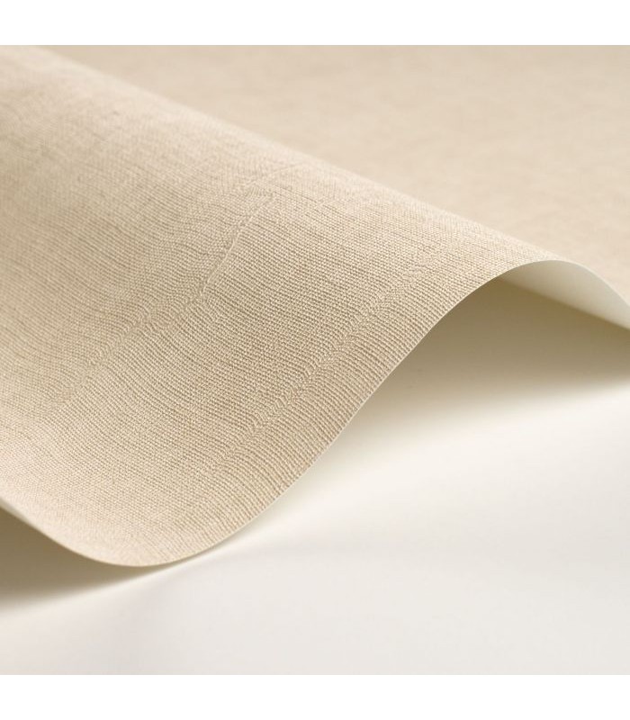 Papier Peint ETAMINE BEIGE PIERRE - CASADECO - Réf. ETAM200251212