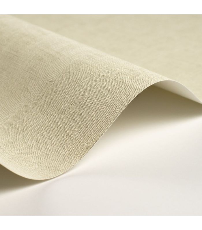 Papier Peint ETAMINE VERT AMANDE - CASADECO - Réf. ETAM200257020