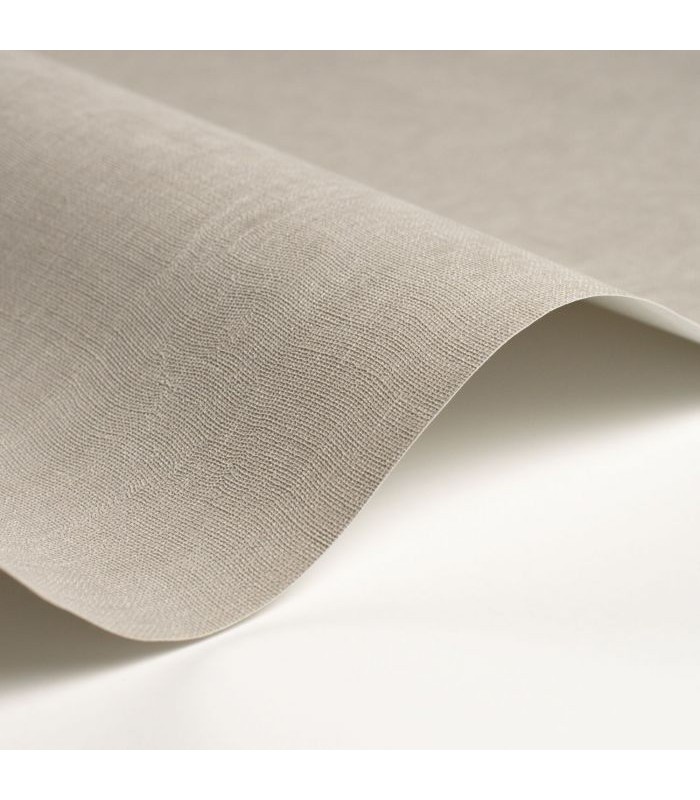 Papier Peint ETAMINE GRIS SOURIS - CASADECO - Réf. ETAM200259339