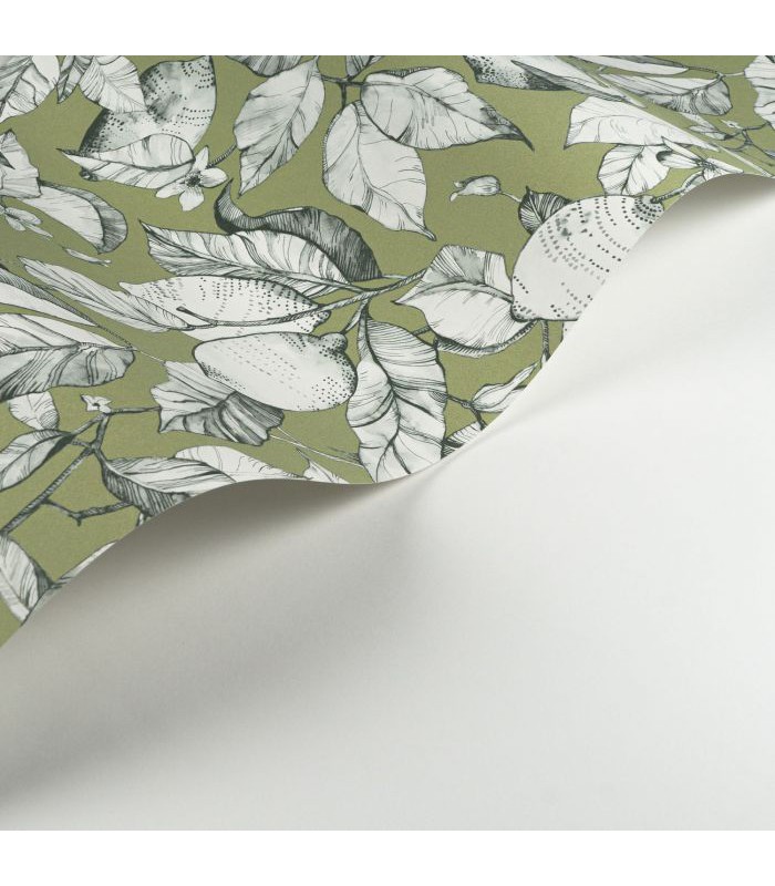 Papier Peint LEMON TREE ARGILE VERTE - Collection SOLIFLORE - CASADECO - Réf. SOLI200277313