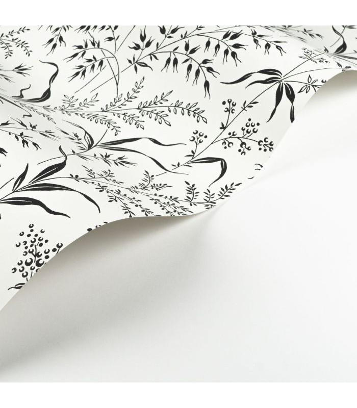 Papier Peint GRASS FIELD FUSAIN - Collection SOLIFLORE - CASADECO - Réf. SOLI200280990