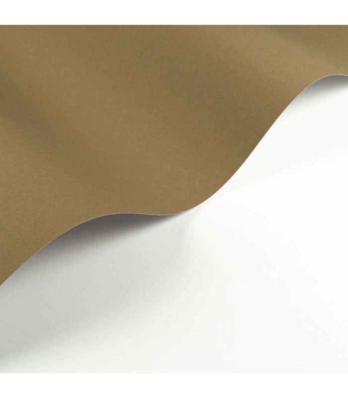 Papier Peint PIGMENTS TABAC - Collection SOLIFLORE - CASADECO - Réf. SOLI200332707