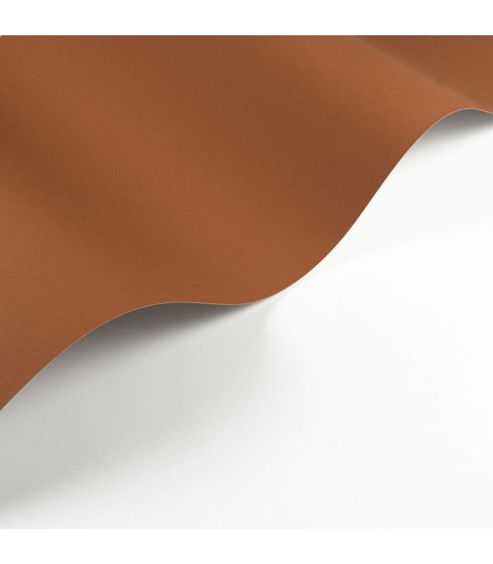 Papier Peint PIGMENTS TERRE DE SIENNE - Collection SOLIFLORE - CASADECO - Réf. SOLI200333443