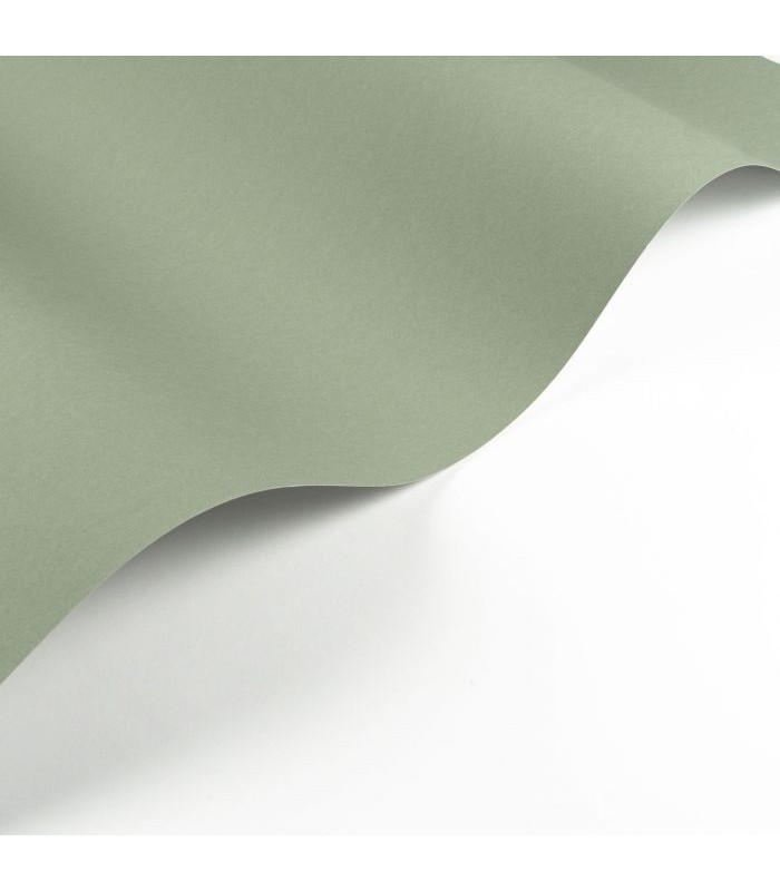 Papier Peint PIGMENTS CELADON - Collection SOLIFLORE - CASADECO - Réf. SOLI200336303