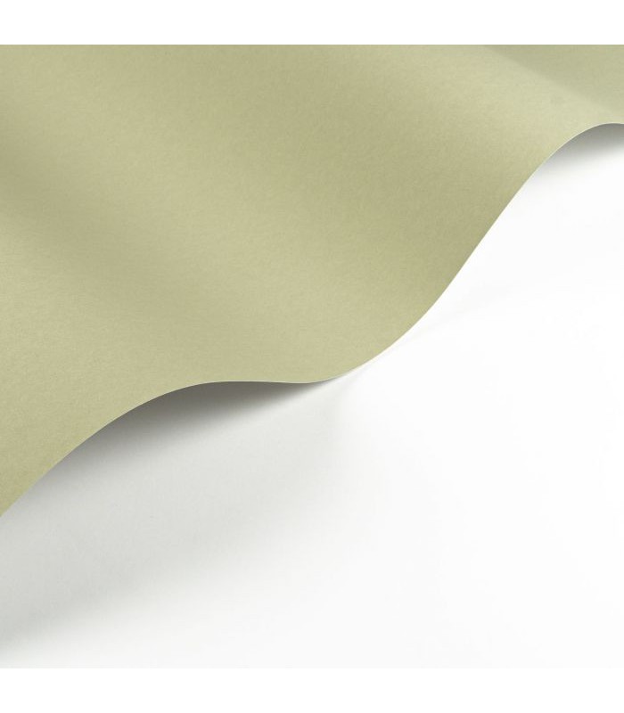 Papier Peint PIGMENTS ARGILE VERTE - Collection SOLIFLORE - CASADECO - Réf. SOLI200337337