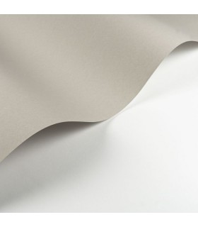 Papier Peint PIGMENTS PIERRE - Collection SOLIFLORE - CASADECO - Réf. SOLI200339229