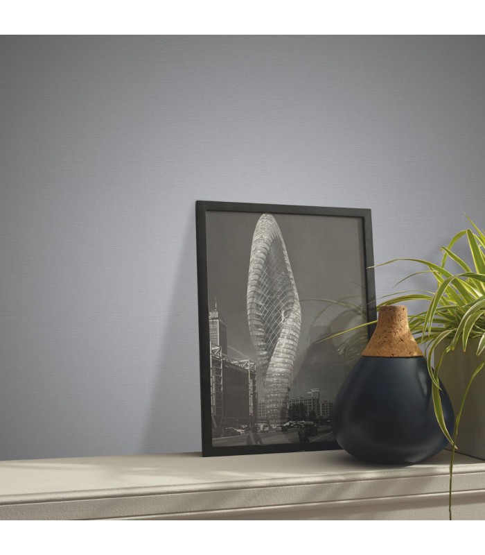 ERISMANN Papier peint vinyle grainé gris argent 10108-10