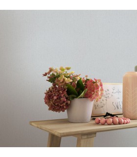 ERISMANN Papier Peint Vinyle Expansé sur Intissé Coton Piqué Gris Clair réf. 10072-31