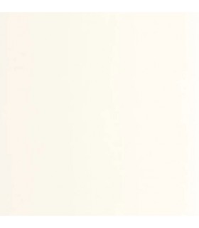 Papier Peint PIGMENTS BLANC CALCAIRE - Collection COLOR GAME - CASADECO - Réf. GAME200330000