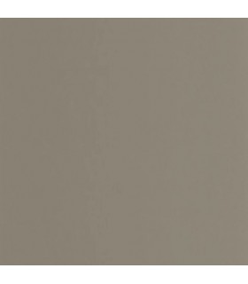 Papier Peint PIGMENTS GRIS ELEPHANT - Collection COLOR GAME - CASADECO - Réf. GAME200339404