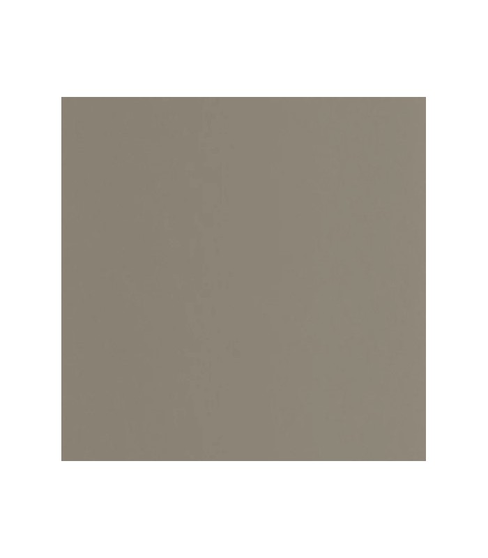 Papier Peint PIGMENTS GRIS ELEPHANT - Collection COLOR GAME - CASADECO - Réf. GAME200339404