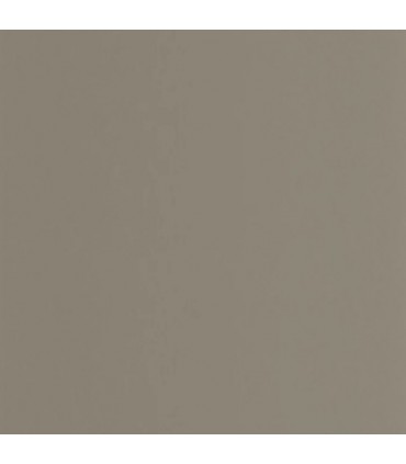 COLOR GAME - CASADECO