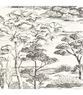 Papier Peint LITTORAL NOIR FUSAIN - Collection SENTIERS DES DUNES - CASADECO - Réf. SENT200939374