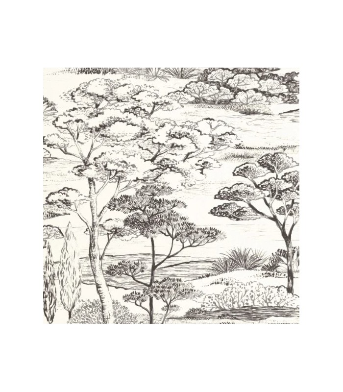 Papier Peint LITTORAL NOIR FUSAIN - Collection SENTIERS DES DUNES - CASADECO - Réf. SENT200939374