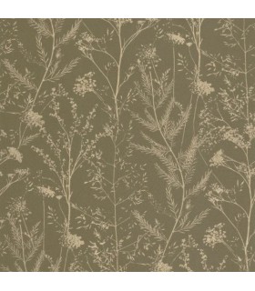 Papier Peint PRAIRIE KAKI - Collection SENTIERS DES DUNES - CASADECO - Réf. SENT200957853