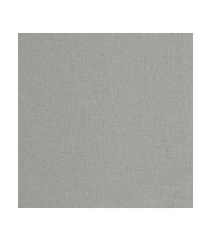 Papier Peint UNI GRIS - Collection BALADE - CASELIO - Réf. BLD100609150