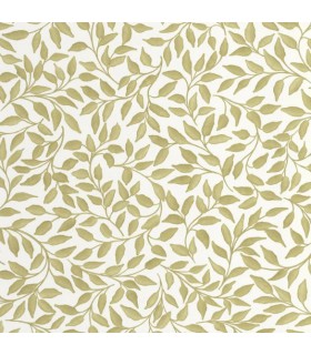 Papier Peint PRINTEMPS VERT KAKI - Collection BALADE - CASELIO - Réf. BLD106117107