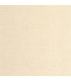 Papier Peint RAPHIA BEIGE - Collection MATIERES - CASELIO - Réf. MMT105971150