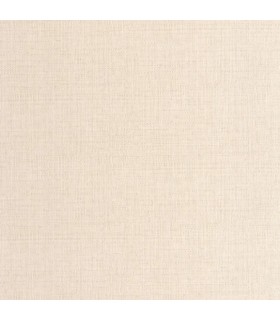 Papier Peint RAPHIA TAUPE CLAIR - Collection MATIERES - CASELIO - Réf. MMT105971522