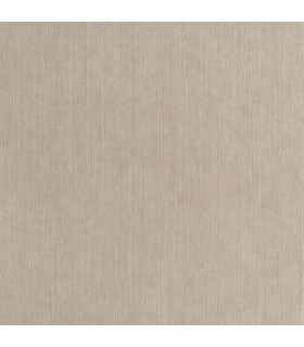 Papier Peint SISAL TAUPE FONCE - Collection MATIERES - CASELIO - Réf. MMT106011660