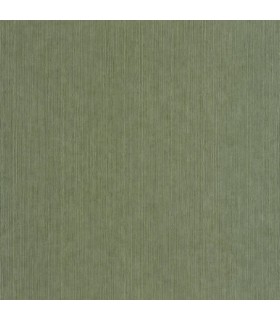 Papier Peint SISAL VERT MOUSSE - Collection MATIERES - CASELIO - Réf. MMT106017230