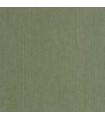 Papier Peint SISAL VERT MOUSSE - Collection MATIERES - CASELIO - Réf. MMT106017230