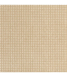 Papier Peint CANNAGE BEIGE - Collection MATIERES - CASELIO - Réf. MMT106021000