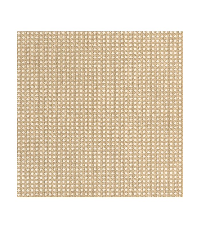 Papier Peint CANNAGE BEIGE - Collection MATIERES - CASELIO - Réf. MMT106021000