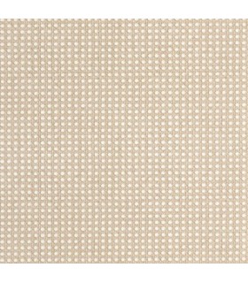 Papier Peint CANNAGE TAUPE - Collection MATIERES - CASELIO - Réf. MMT106022050