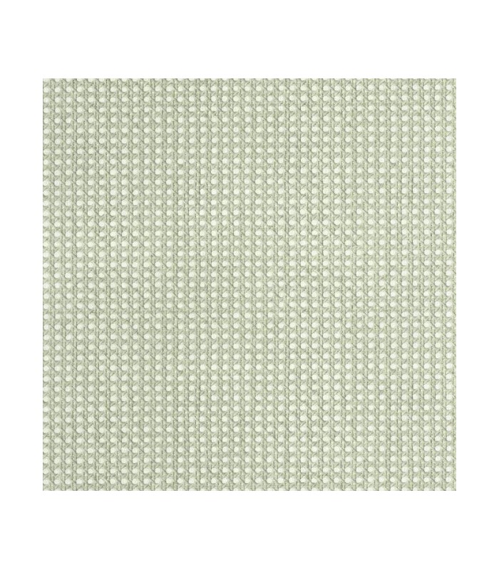 Papier Peint CANNAGE VERT - Collection MATIERES - CASELIO - Réf. MMT106027050