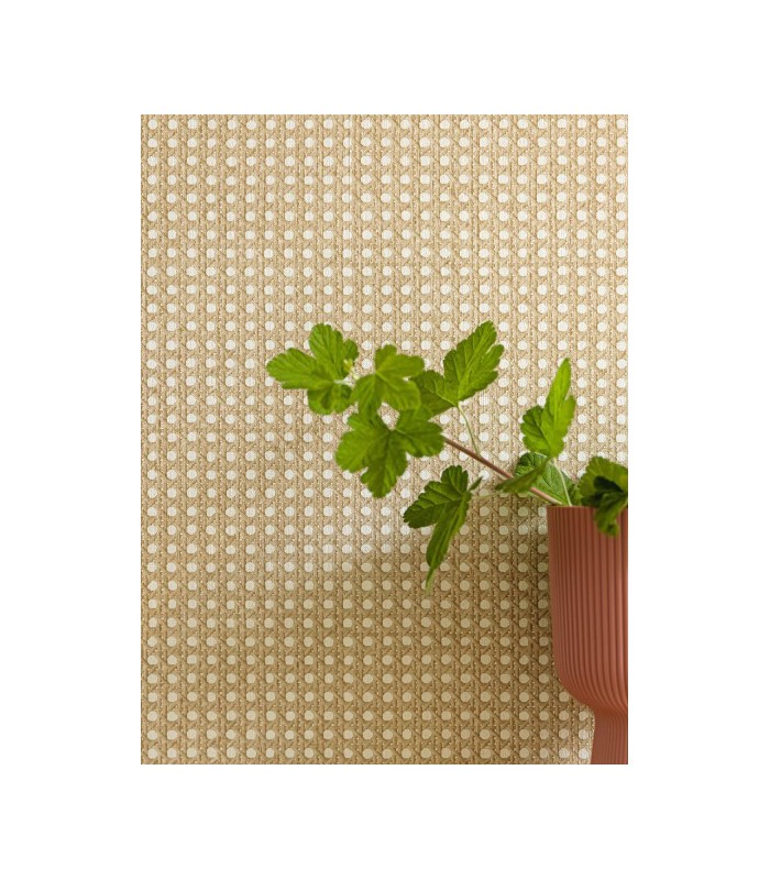 Papier Peint CANNAGE BEIGE - Collection MATIERES - CASELIO - Réf. MMT106021000