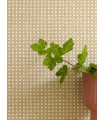 Papier Peint CANNAGE BEIGE - Collection MATIERES - CASELIO - Réf. MMT106021000