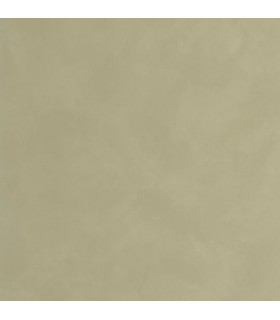 Papier Peint UNI LA CHAUX VERT DE GRIS - Collection ORIGINE - CASELIO - Réf. OGN106087250