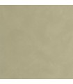 Papier Peint UNI LA CHAUX VERT DE GRIS - Collection ORIGINE - CASELIO - Réf. OGN106087250
