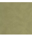 Papier Peint UNI LA CHAUX VERT KAKI - Collection ORIGINE - CASELIO - Réf. OGN106087370