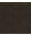Papier Peint UNI LA CHAUX TERRE D OMBRE - Collection ORIGINE - CASELIO - Réf. OGN106089090