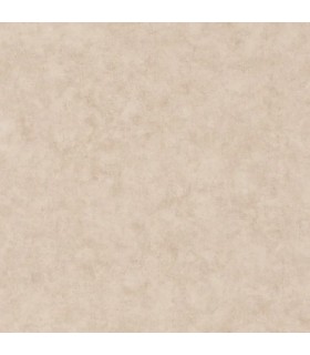 Papier Peint BETON UNI FICELLE - Collection RELIEFS - CASELIO - Réf. RLF101481156