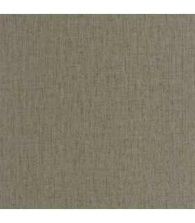 Papier peint SCRIBE GRIS ARGILE - Collection Babylone - CASADECO - Ref. BBLN89759582