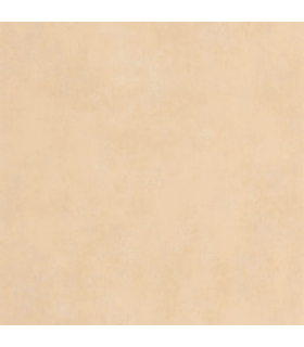 Papier peint Uni STONE COQUILLE D'OEUF - Collection Stone 2 - Réf. STND80831234