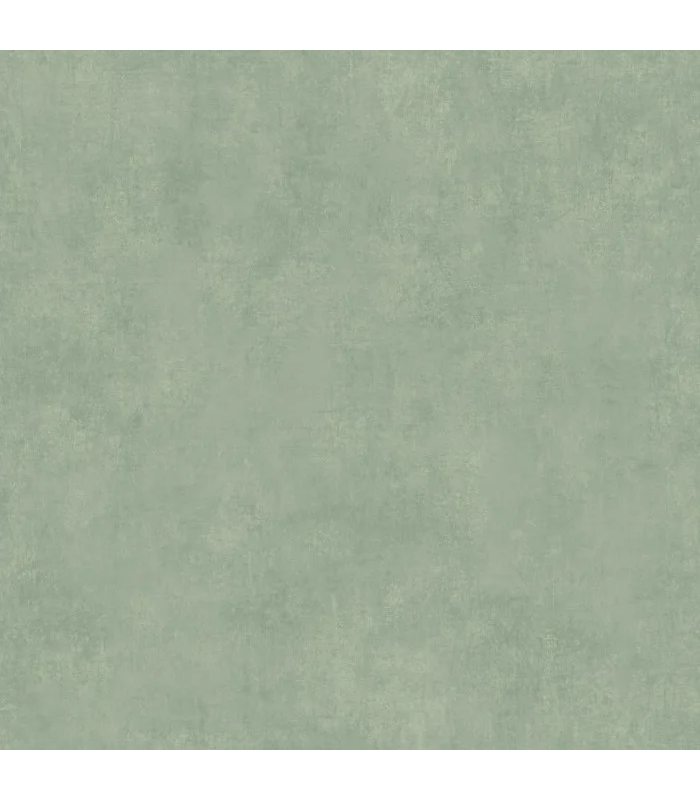 Papier peint Uni STONE VERT CEDRE - Collection Stone 2 - Réf. STND80837301