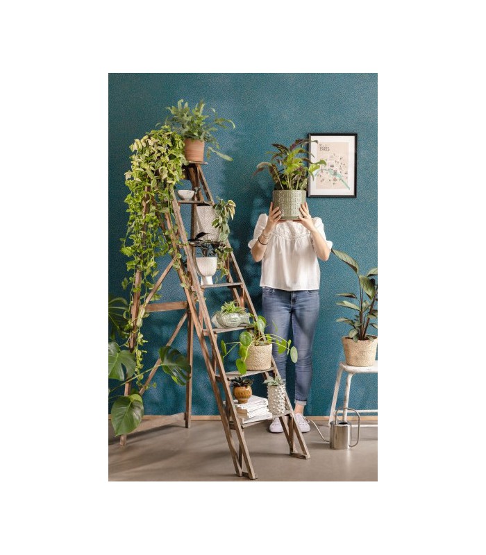 Papier peint Sparkle Bleu madura et Or - Collection Green Life 2 - CASELIO - Réf.  GNL2101736128